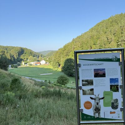 Bild vergr&ouml;&szlig;ern: Blick Richtung Natur mit einer der Wandertafeln im Vordergrund