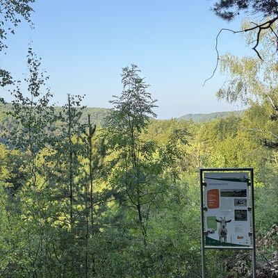 Bild vergr&ouml;&szlig;ern: Blick auf eine der Wandertafeln
