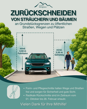 Bild vergr&ouml;&szlig;ern: hilfreiche Grafik zum Zurückschneiden von Sträuchern und Bäumen an Grundstücksgrenzen und zu öffentlichen Straßen, Wegen und Plätzen